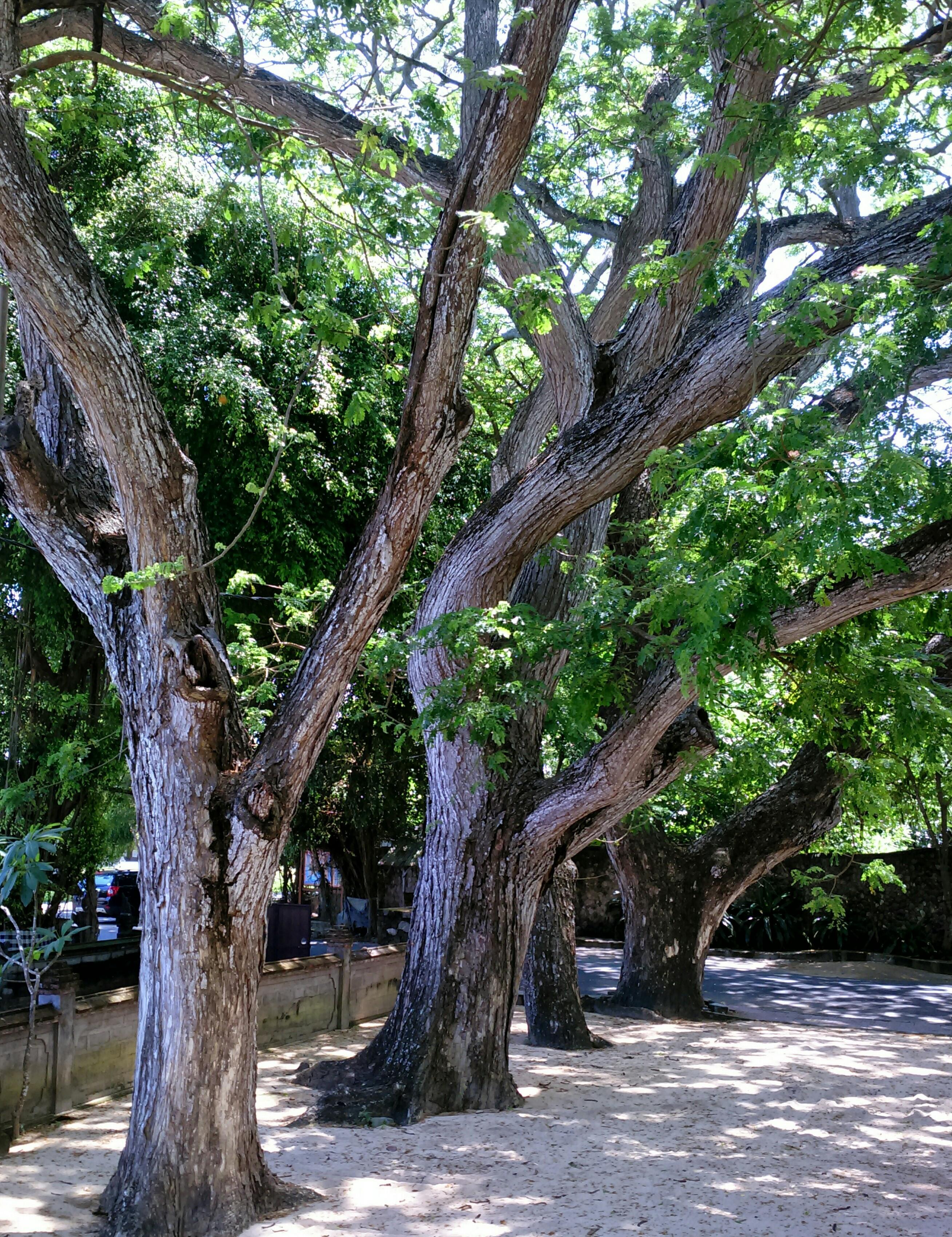 Taksu Hotel Sanur